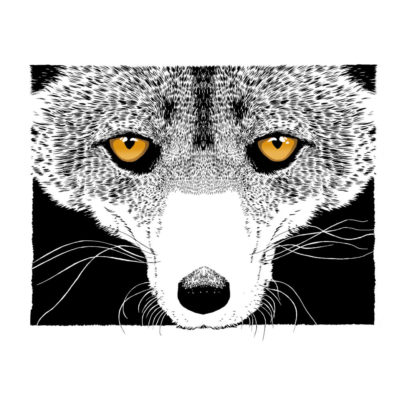"Présences, Renard"