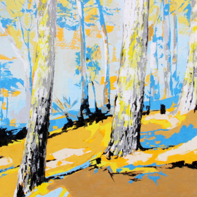 "Structures naturelles n°01"