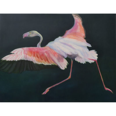 "Animal Sauvage, flamand rose"
