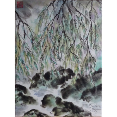 "P:Le Saule "