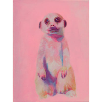 "Petit suricate rose"