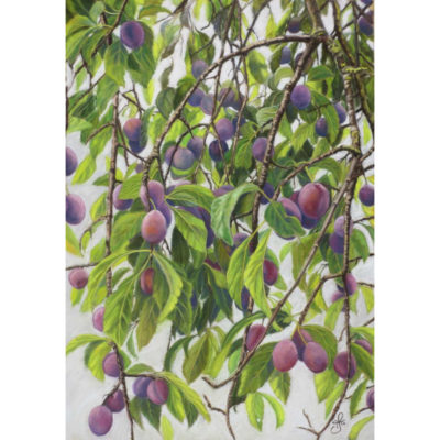 "Branches gourmandes"
