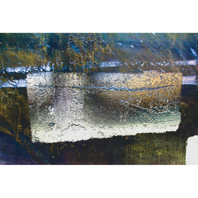 "CMJN Goéland sur coque-30.03.21 6333"