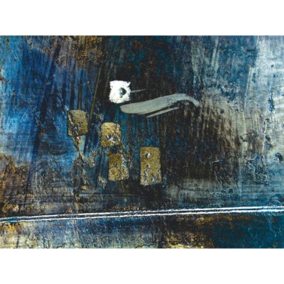 "CMJN Goéland sur coque-30.03.21 6328"