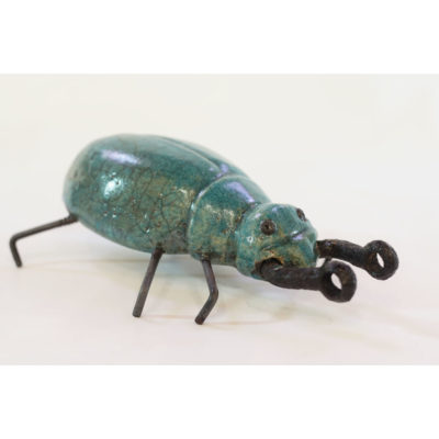 "Insecte bleu turquoise "