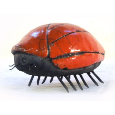 "Insecte rouge"