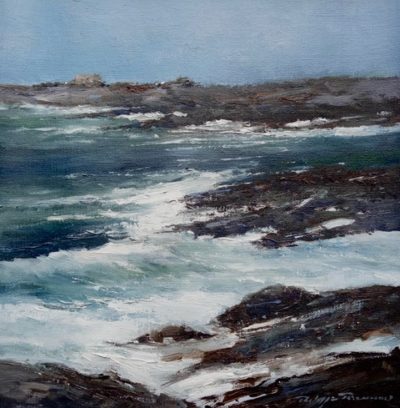 "La côte sauvage réf : 222"