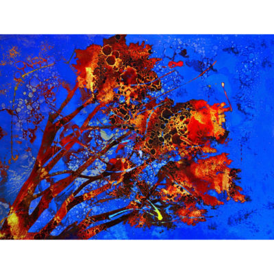 "L'arbre incandescent"