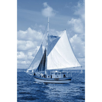 "Voile blanche"