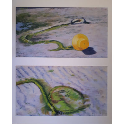 "Dyptique les balises"