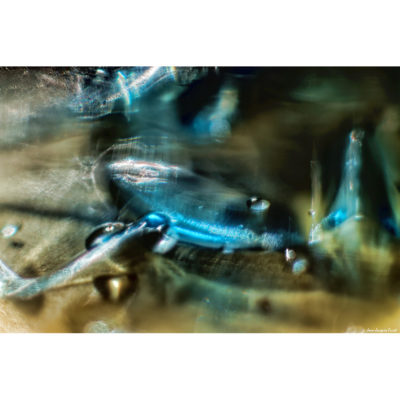 "Abstract FK2A0052"