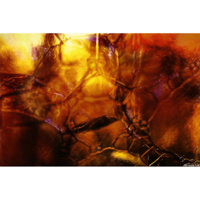 "Abstract FK2A0006B"