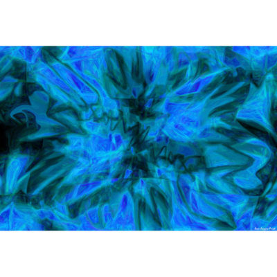"Abstract FK2A0069"