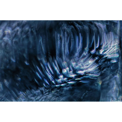 "Abstract FK2A0133"
