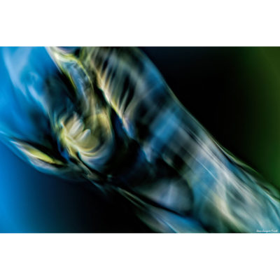"Abstract FK2A0268"