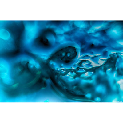 "Abstract FK2A0402"