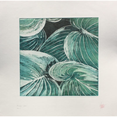 "Feuilles Hosta série 1 eau forte"