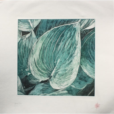 "Feuilles Hosta série 2 eau forte"