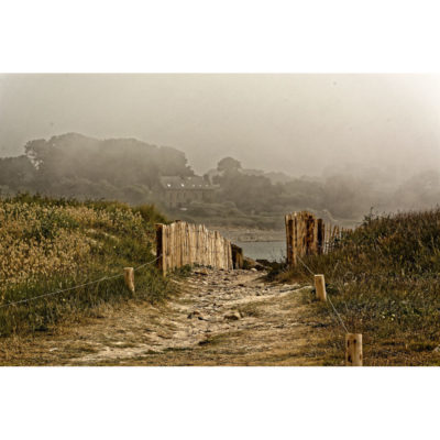 "DSC 0977"