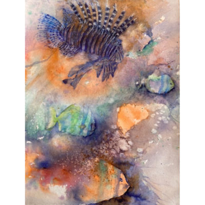 "Poisson lion"