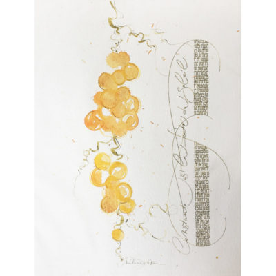 "Raisin 1"