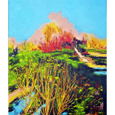 "Le marais"