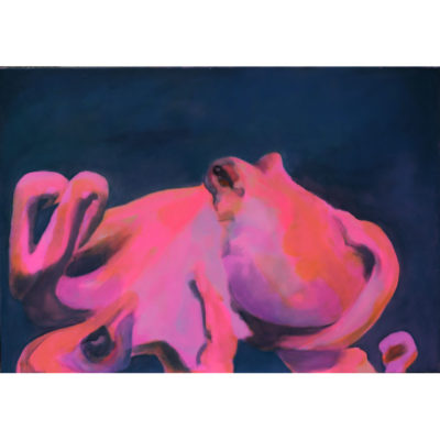 "La pieuvre rose"