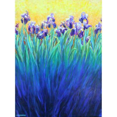 "Iris en contre-jour"