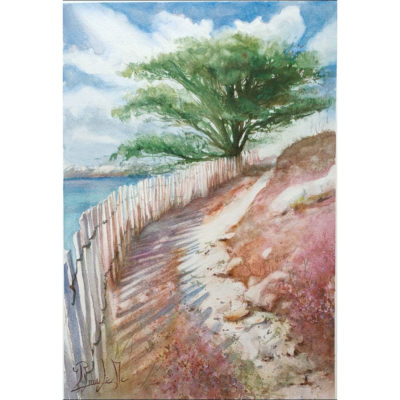 "Lannion, chemin des douaniers Beg-Leguer"