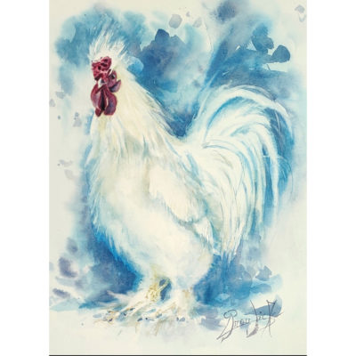 "Le coq blanc"
