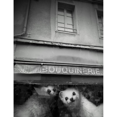 "Bouquinerie"