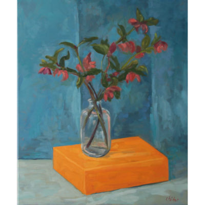 "Les hellébores du jardin"