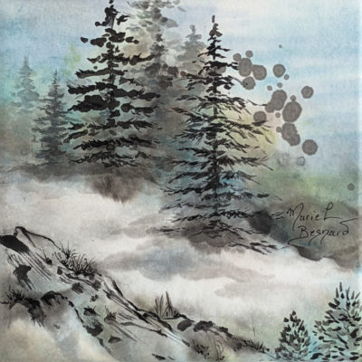 "P: Forêt de sapins"