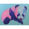 "Petit panda bleu et rose"