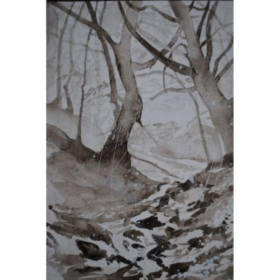 "Forêt du Cranou"