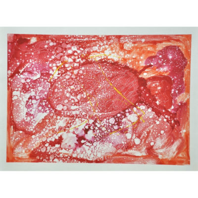 "Coléoptère"