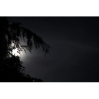 "La nuit transfigurée 2"