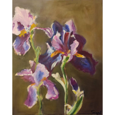 "Iris"