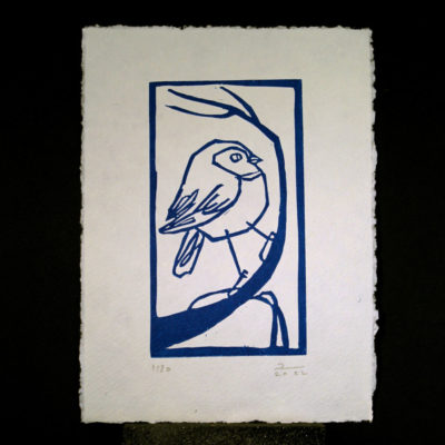"Oiseau d'hiver bleu"