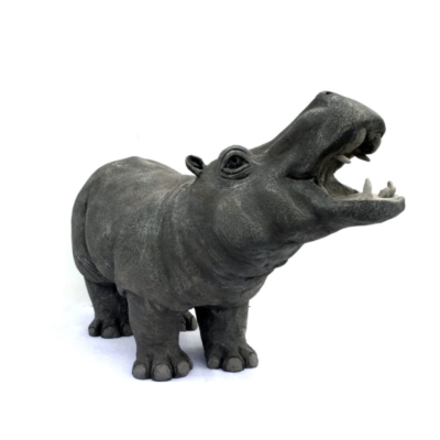 "A: Hippopotame"
