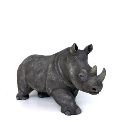 "A: Rhinoceros"