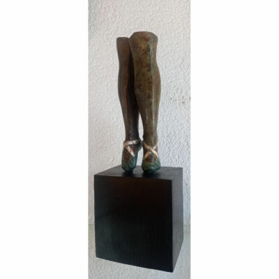 "les chaussons de danse"