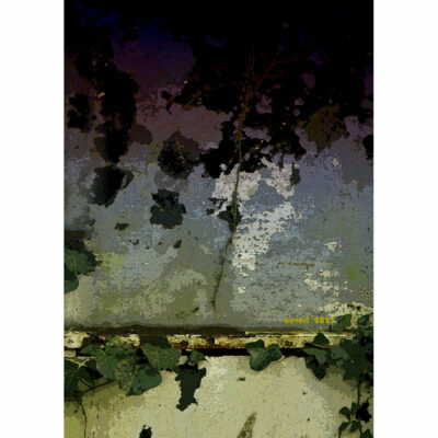 "Au mur du temps"