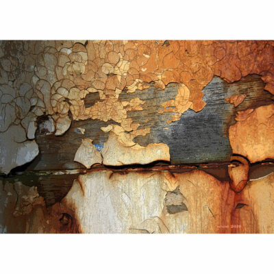 "Rouille sur bois"