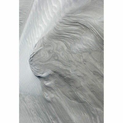 "Sandy Lion"