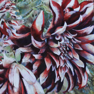 "Chrysanthème rouge des jardins de Monet"