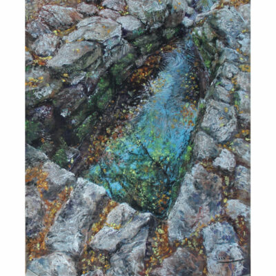 "Fontaine de Barenton"