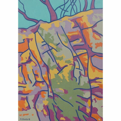 "n°09 Flanc de ravin"