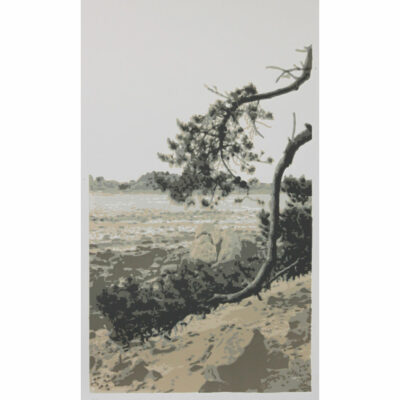«Les branches de pin III "