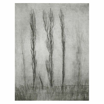 "Nous les arbres 1"